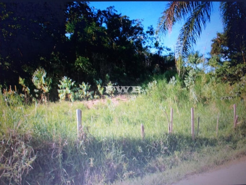 Imagem 23 de 28 de Fazenda Em Rio Preto Minas Gerais - 2044007423 - 67629041