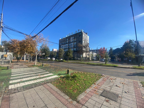 Local Comercial En Arriendo En Providencia 350 M2 Útiles