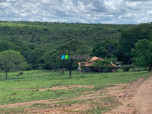 Imagem 2 de 10 de Fazenda - Zona Rural - Ref: 4896 - V-mta4896