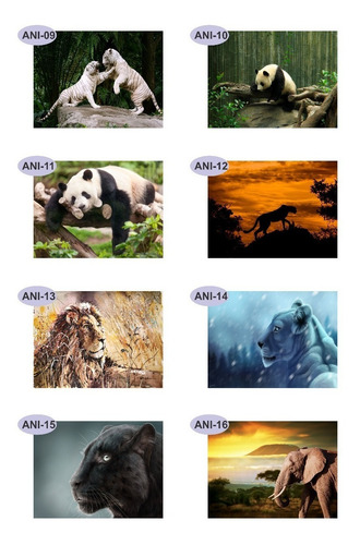 Imagem 8 de 10 de Papel Parede Adesivo Pet Cachorro Gato 2,30 Larg X 1,60 Alt