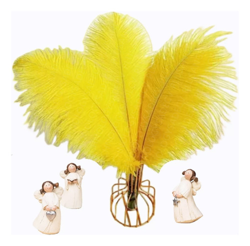 Plumas De Avestruz 15-20cm, 20 Piezas