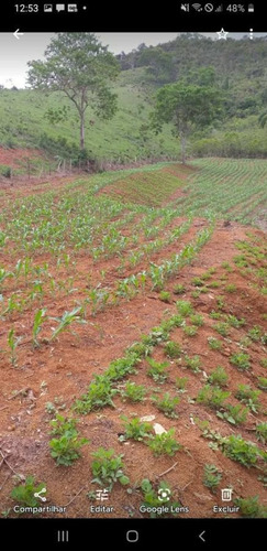Imagem 13 de 14 de Terreno Para Venda Em Piranga, Zona Rural - T39_1-1651875