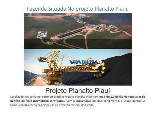 Fazenda No Piaui 2.130 Hec Para Extração De Ferro E Energia Eólica - Fa0004