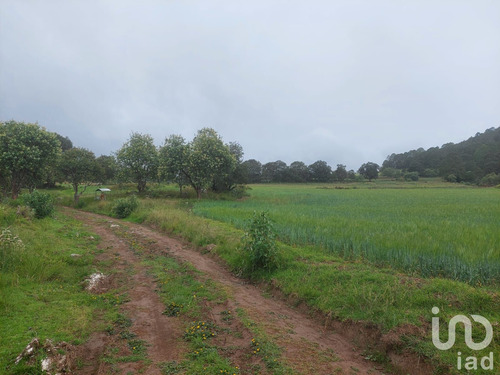 Venta Terreno 0 Ambiente Tecocomulco De Juárez