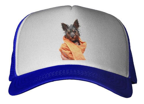 Gorra Perro Yorkshire Baño Mojado