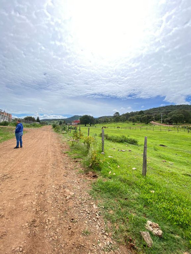 Terreno En Venta En San José De Las Torres