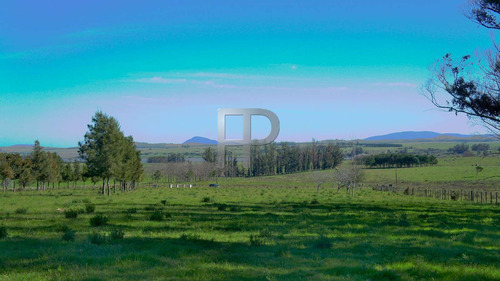 Imagen 3 de 6 de Campo En Venta Laguna Del Sauce 5 Hectáreas