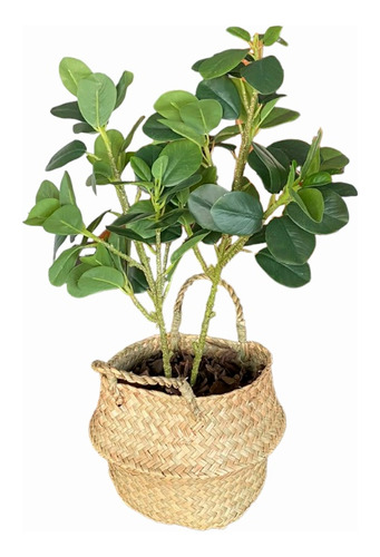 Planta Artificial Árbol Para Interiores + Canasto De Mimbre