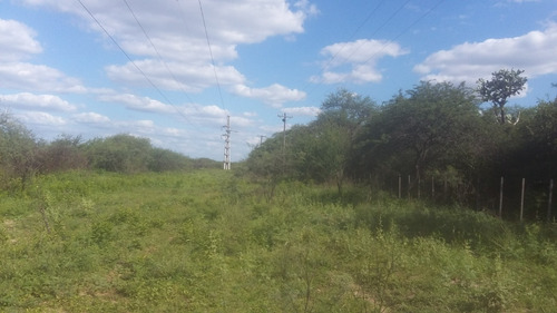 Imagen 4 de 7 de Venta Campo En Rio Hondo, Retasado, Santiago Del Estero.