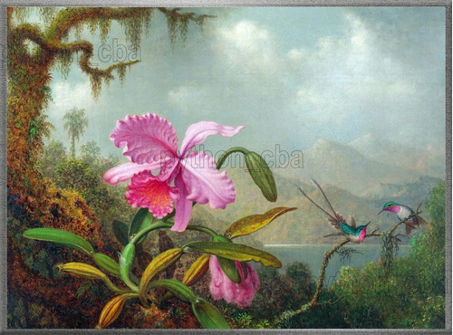 Cuadro Orquídea Y Colibríes - Martin J. Heade - 1880s