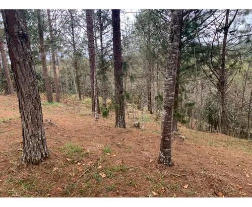 Lote En Venta En El Retiro Sector Lejos Del Nido