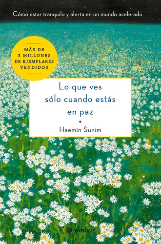 Libro Lo Que Ves Sólo Cuando Estás Paz: (spanish Edition)