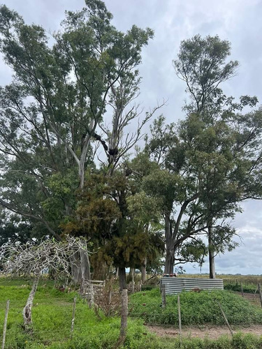 33 Ha Con Casa, 3 Potreros, Mangas, Molino, Galpón, Parrilla, Pileta