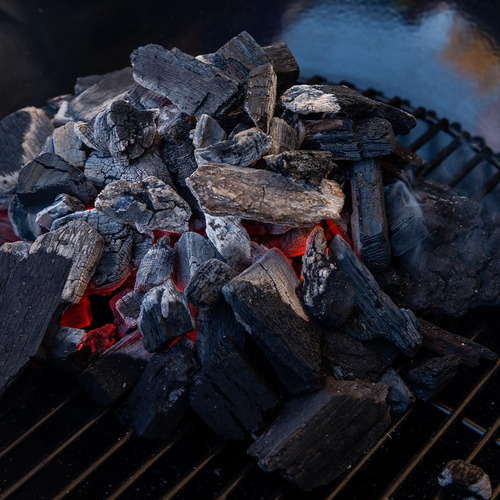 Nexgrill Parrilla De Carbón De 22 Pulgadas Con Carrito De . Color Negro