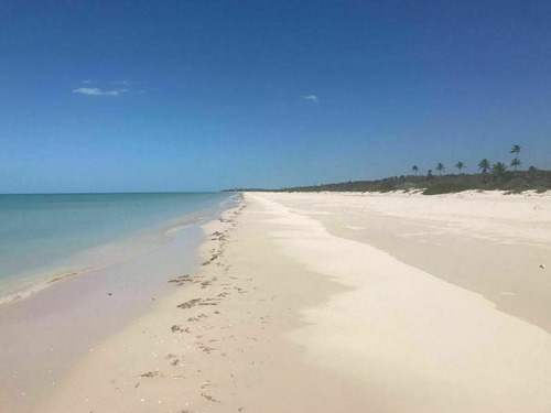 Imagen 14 de 16 de Terreno En Privada Con Club De Playa En Sisal , Yucatán