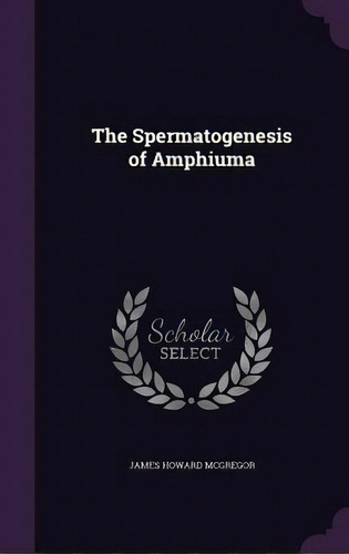 The Spermatogenesis Of Amphiuma, De Mcgregor, James Howard. Editorial Palala Pr, Tapa Dura En Inglés