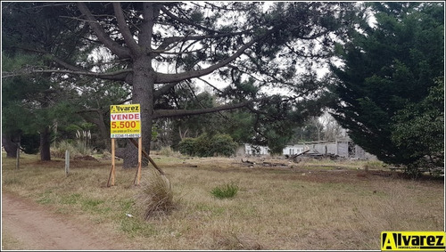 Imagen 4 de 14 de Lote De 5500 M2 A Metros De La Ruta Interbalnearia