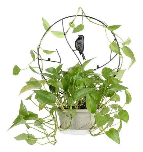 Okk Soporte Para Plantas, Soporte Para Plantas, Soporte
