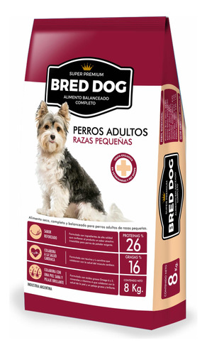 Bred Dog Perro Adulto Razas Pequeñas