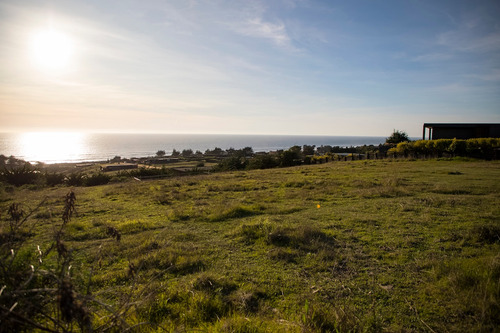 Vista Horizonte Punta De Lobos