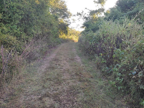 Hermoso Rancho A 4km De Tekit, Dentro Del Círculo De Cenotes