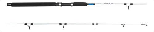 Vara Saint Pantanal 1802-sp 30-60lbs 1,80m 2 Partes