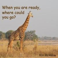 Libro When You Are Ready, Where Could You Go? - Ron Mcadow