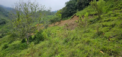 Venta De Lote En Santa Bárbara Vereda Pitayó Lote No. 2a