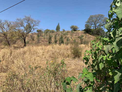 Venta + Terreno + Hectarea Sobre Ruta 1 Palpala