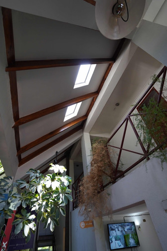 Imagen 13 de 30 de Casa Preciosa Increible Para Negocio Y/o Vivir