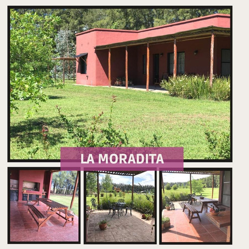 Imagen 17 de 30 de Excelente Campo Casa Quinta En San Antonio De Areco