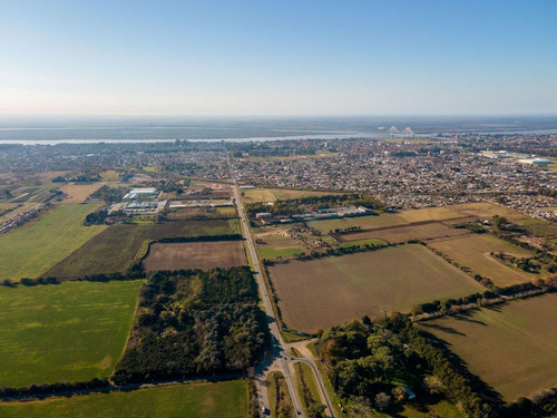Imagen 9 de 21 de Lotes Industriales En Baigorria De 2.500 A 18.000 M2