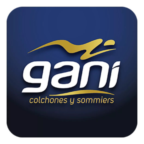 Colchón Y Sommier Gani Shankar Queen Size 200x160 Resortes
