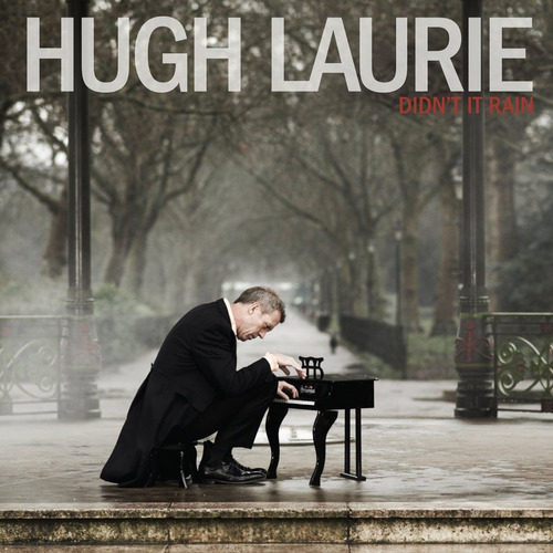 LAURIE HUGH - DIDN'T IT RAIN IMPORTADO- vinilo 2013