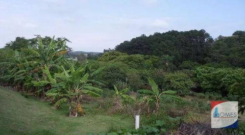 Imagem 5 de 9 de Chácara Rural À Venda, Brigadeiro Tobias, Sorocaba. - Ch0005
