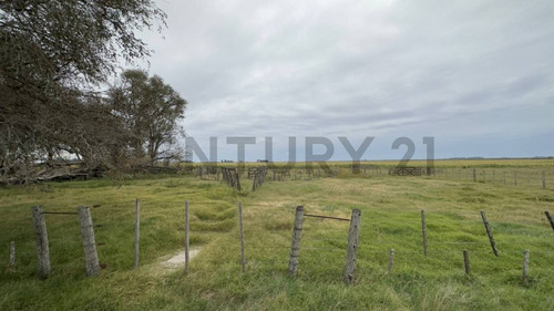 Venta 67 Hectáreas De Campo En San Jorge