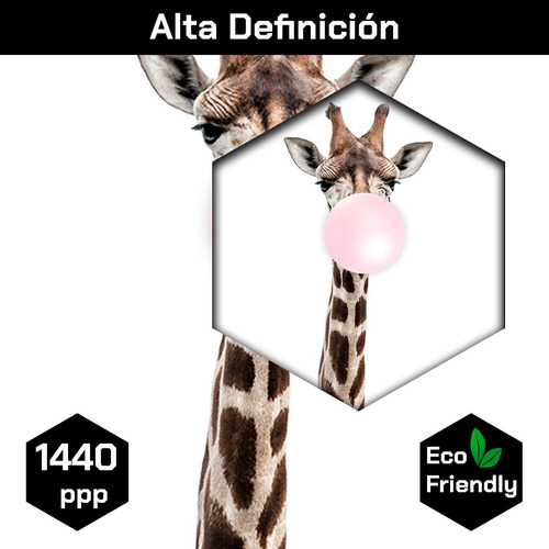 Imagen 3 de 9 de Cuadro Decorativo Canvas Artisticas Jirafa Con Chicle