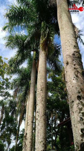 Imagem 10 de 30 de Chacara - Ch00246 - 34440536