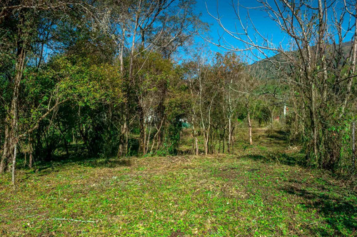Imagen 10 de 12 de Terreno + Venta + Castellanos + 1.693 M2