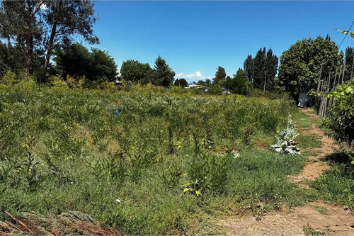 Terreno Agrícola En Rauco: Inversión Ideal