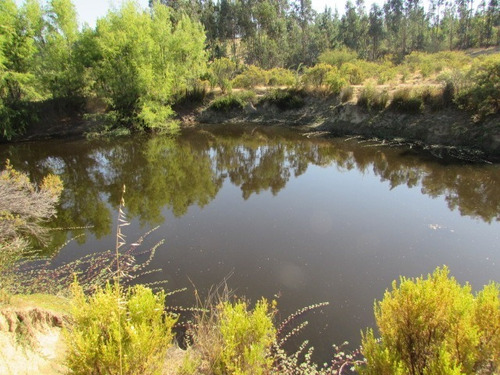Imagen 9 de 23 de Campo En Cauquenes, Tres Estanques Acumuladores, 97 Has