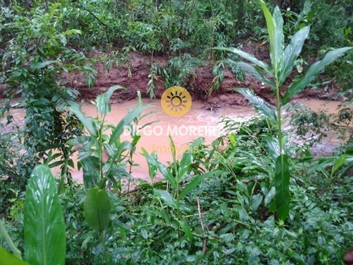 Imagem 9 de 15 de Chácara Á Venda Em Terra Preta Com 4 Dormitórios - Ch104