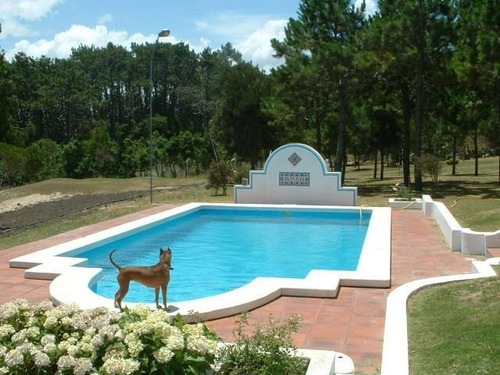 Casa - Montoya