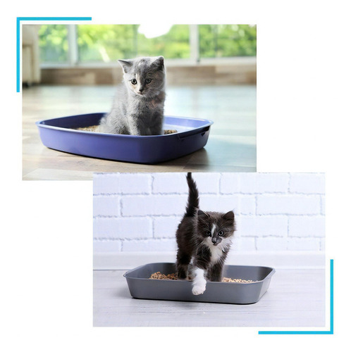 Arena sanitaria para gatos Bentonita 4kg Biodegradable