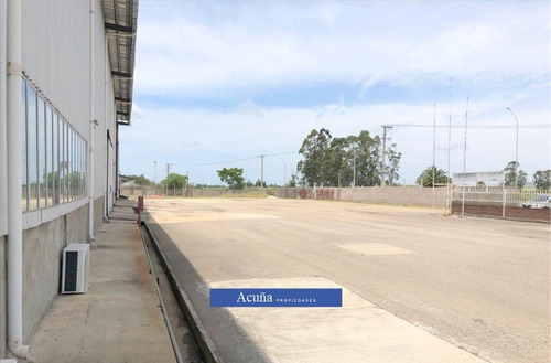 Alquiler- 2 Naves Nuevas S/columnas 6370 M2. Barros Blancos