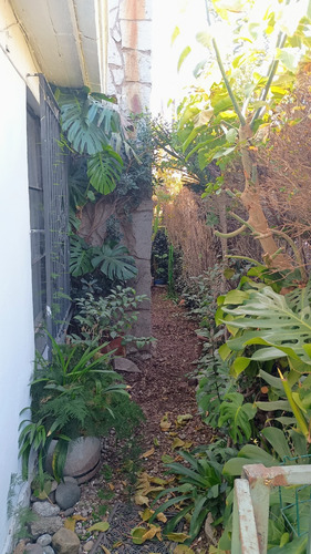 Muy Tranquilo Y Excelente Ubicación. Casa En Lo Prado.