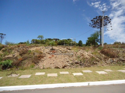 Imagem 2 de 15 de Terreno - Mato Queimado - Ref: 2933 - V-gi2939