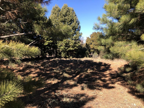 Imagen 3 de 8 de Terreno - Meliquina
