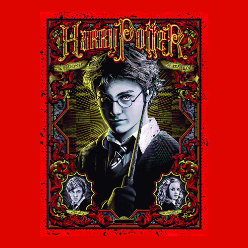 Cuadro De Pelicula Harry Potter Prisionero Azkaban 60x45cm