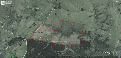 Venta Campo 60 Ha Con Olivos